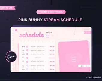 Plantilla de programación de transmisiones de Pink Bunny para el año 2000 / Cuaderno / Streamer / Programa de transmisiones semanales de Vtuber / Recursos PNGTuber / Twitch / Plantilla Canva
