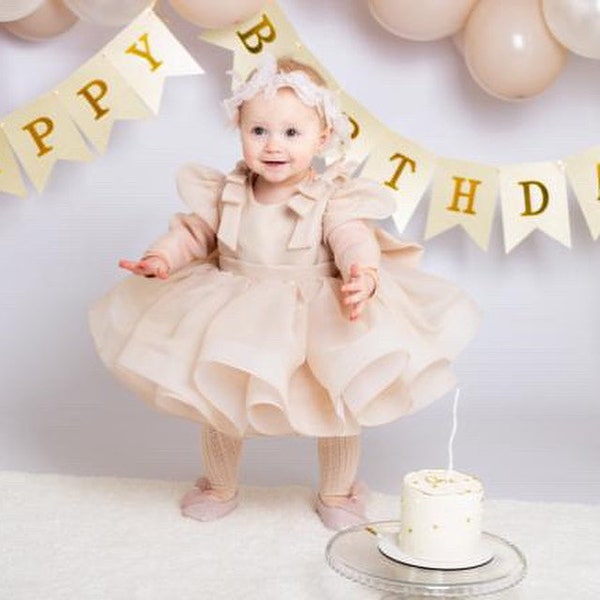 Baby Girl dress Special Occasion, Baby Girl Party Dress, Birthday Dress Girls Blush Dress, First Birthday Dress, 1st Birthday Dress