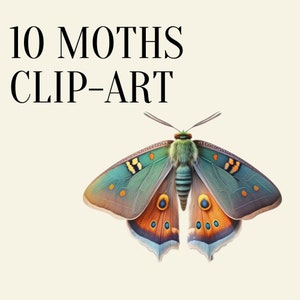 10 Clipart Moths, Watercolor Moths, Mystical, Moths, Dreamy, Occult, Witchy, Commercial USE, PNG Clipart, Clipart, Digital Download