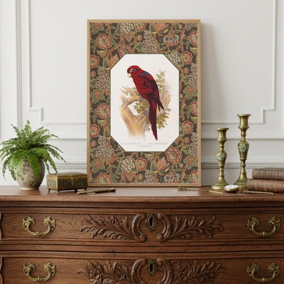 Vintage Lory Bird Print | Ornithological Parrot Illustration | William Morris Floral Border | Botanical Art Print Wall Decor