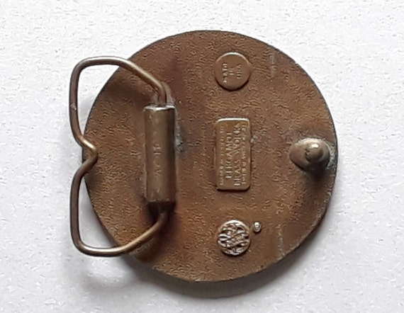 Eagle flying sunset - image 2