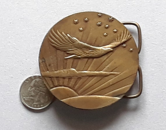 Eagle flying sunset - image 3