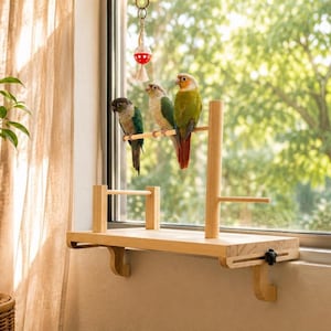 May include: A light-colored wooden bird perch platform mounted to a window frame, featuring a horizontal bar with three small parrots perched on it and a hanging red and white toy suspended from the top of the window frame above the platform.