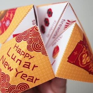 Atrapa piojos del Año Nuevo lunar imprimible, adivino del Año Nuevo chino, descarga, divertido obsequio de fiesta, juego imprimible para niños, actividad para el aula