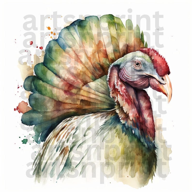 Thanksgiving Watercolor Turkey Clipart PNG 300 Dpi Pack of 4 Colorful ...