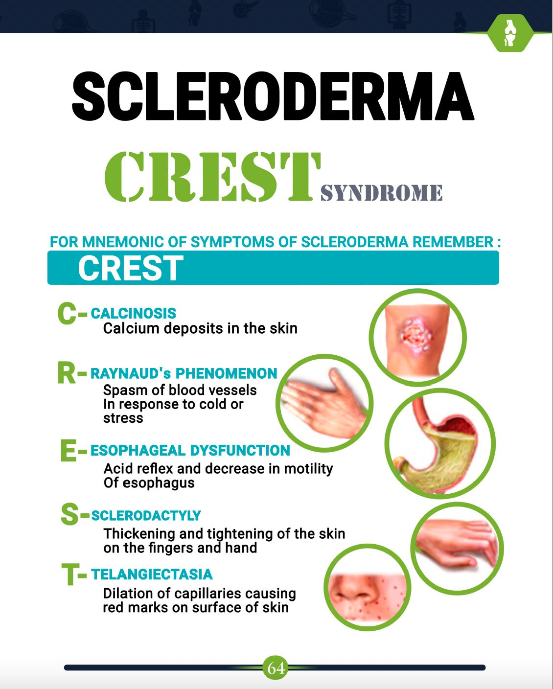 Medical Mnemonics - Etsy