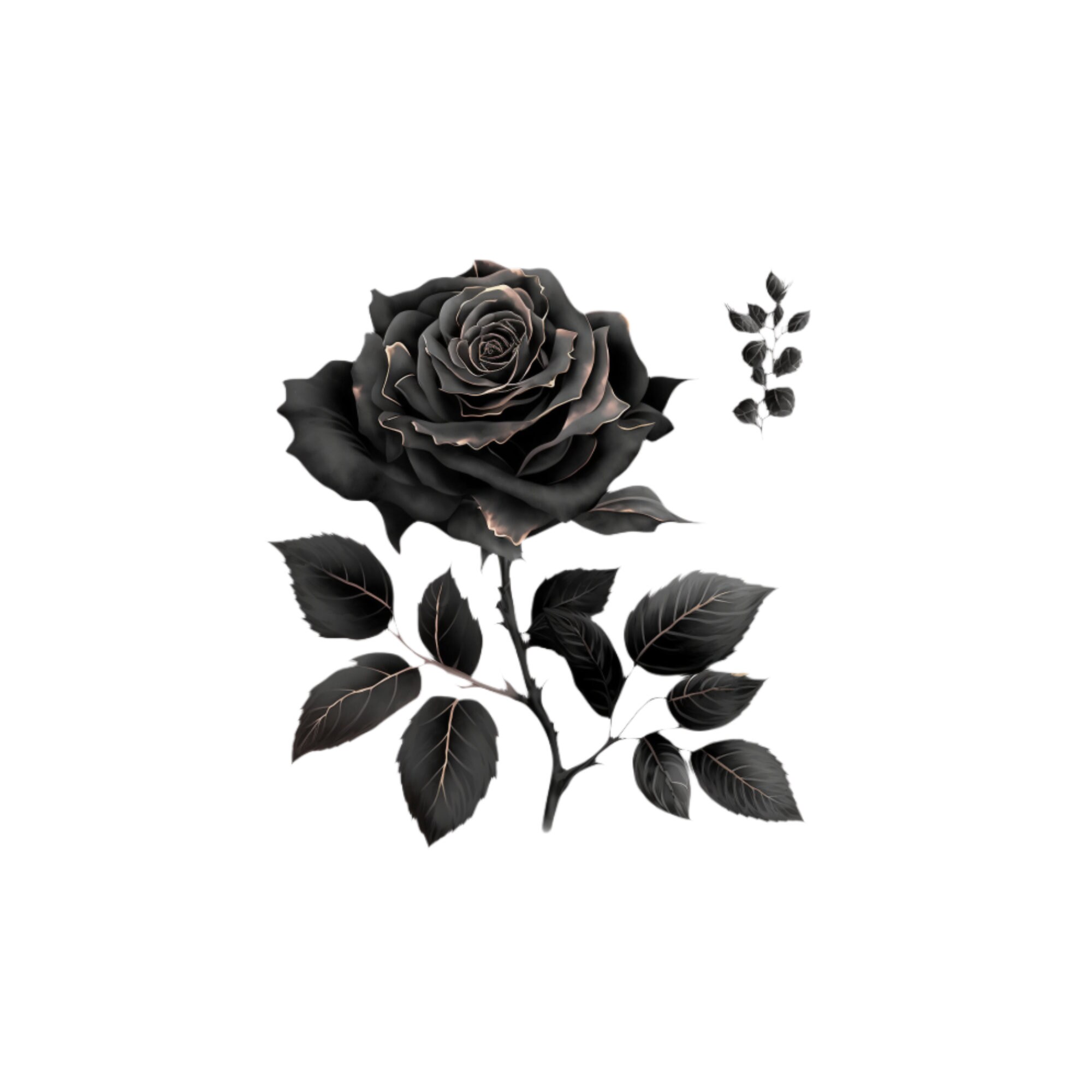 10 Watercolor Black Roses Clipart Rose PNG Rose Clipart Etsy