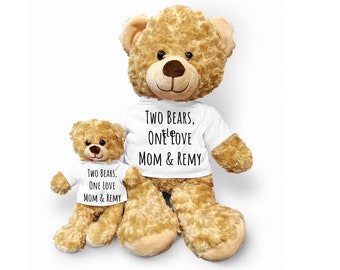 Custom Teddy Bear Set, Personalized Teddy Bear Duo, Mom and Child Teddy Bear, Dad and Child Teddy Bear Plush Set, Matching Pair Stuffed Bear