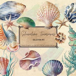 Watercolor Clipart - Ocean Clipart - Sea Shells  - Ocean Graphics - Coral Clipart -Shoreline Treasures Collection 2