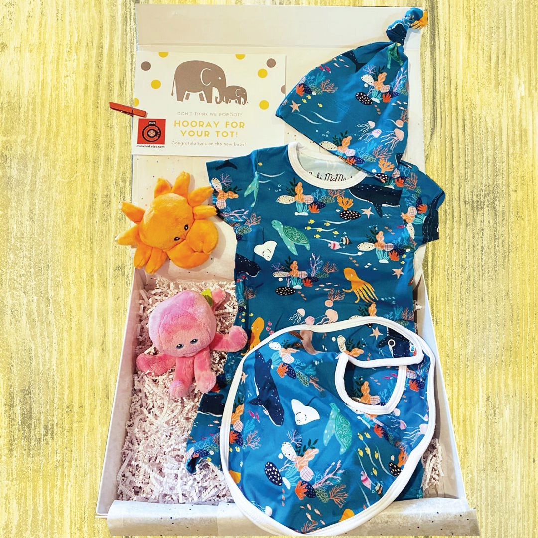 Dolphins 3pc Infant Gift Set Born & Bred
