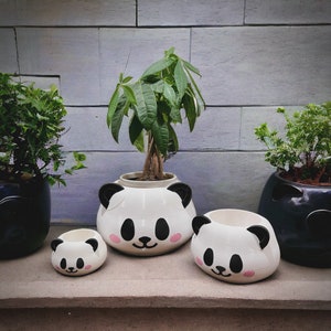 Cute Panda Planter Set