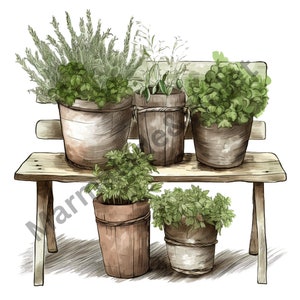 Fleurs et herbes Clipart - 9 images de style campagnard fleurs & herbes, images PNG 300 dpi, à usage commercial