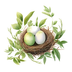 willow branch nest clipart - 12 High Quality JPGs - instant Download - Card Making, invitations, journals, Scrapbooking, Junk journals