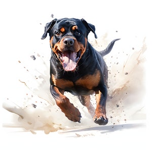 Watercolor Rottweiler clipart - 12 High Quality JPGs - instant Download - Card Making, invitations, journals, Scrapbooking, Junk journals