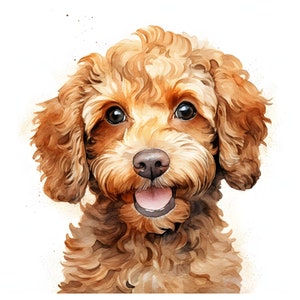 Clipart caniche élégant - 12 JPG de haute qualité - Téléchargement instantané - Fabrication de cartes, invitations, journaux, Scrapbooking, Junk journaux