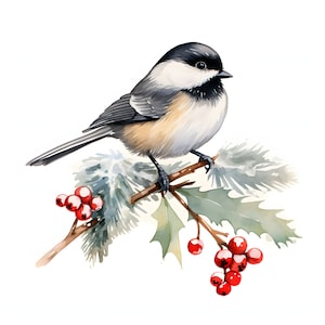 Clipart mésange à tête noire enneigée - 12 JPG de qualité - téléchargement instantané - fabrication de cartes, invitations, journaux, scrapbooking, journaux indésirables