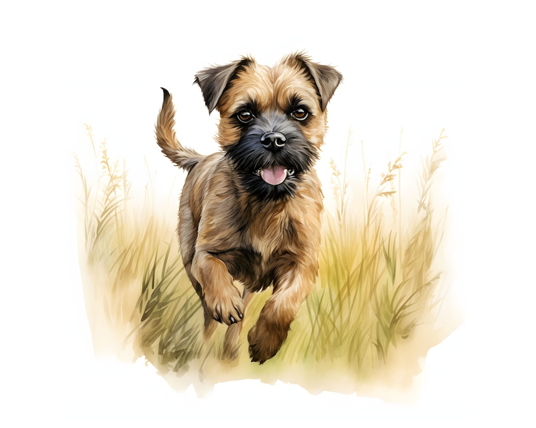 Border Terrier Clipart 12 High Quality Jpgs Instant Download Card