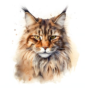 Chat aquarelle Maine Coon en cours d'exécution Maine Coon endormi Chat aquarelle sautant Maine Coon clipart réaliste