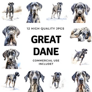 Great Dane clipart - 12 hoge kwaliteit JPG's - instant Download - Card Making, uitnodigingen, tijdschriften, Scrapbooking, Junk journals
