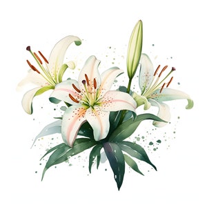 clipart de lírio aquarela - 12 JPGs de alta qualidade - download instantâneo - confecção de cartões, convites, diários, scrapbooking, diários indesejados