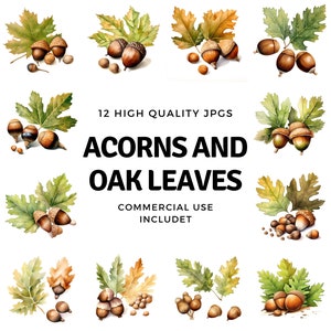 acorns and oak leaves clipart - 12 High Quality JPGs - instant Download - Card Making, invitations, journals, Scrapbooking, Junk journals