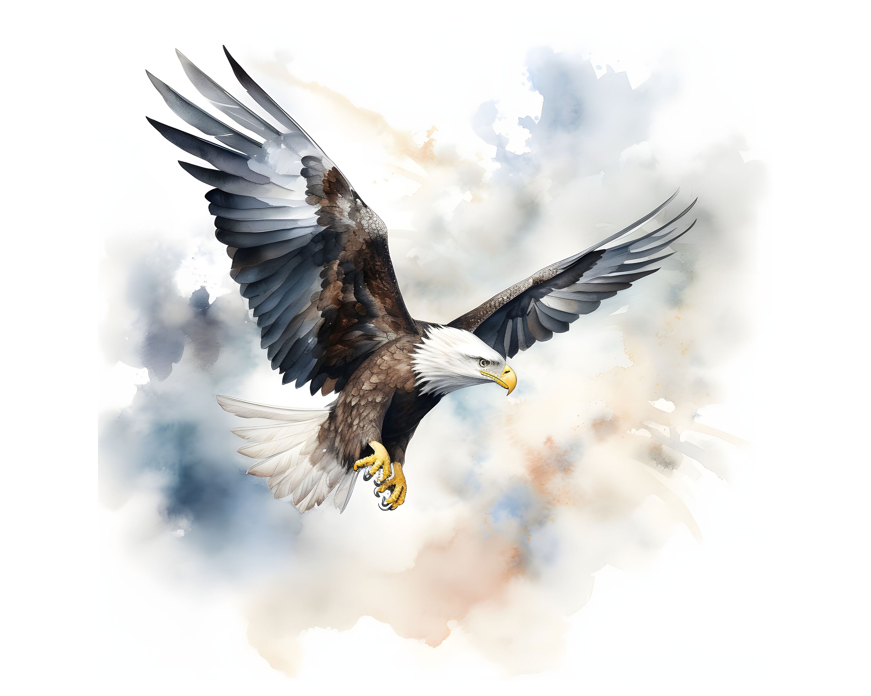 Bald Eagle Clipart 12 High Quality Jpgs Instant Download - Etsy