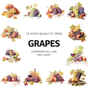 grapes clipart - 12 High Quality JPGs - instant Download - Card Making, invitations, journals, Scrapbooking, Junk journals