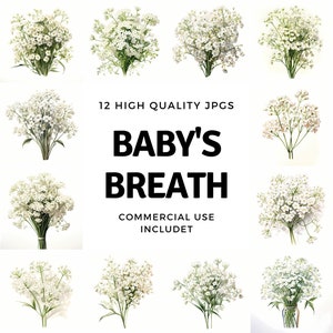 Baby's Breath clipart - 12 High Quality JPGs - instant Download - Card Making, invitations, journals, Scrapbooking, Junk journals