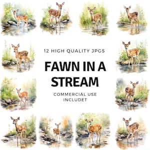 Fawn in a stream clipart - 12 High Quality JPGs - instant Download - Card Making, invitations, journals, Scrapbooking, Junk journals