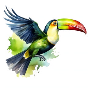 Keel-billed Toucan clipart - 12 High Quality JPGs - instant Download - Card Making, invitations, journals, Scrapbooking, Junk journals