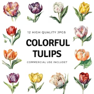 Colorful Tulip clipart - 12 Quality JPGs - instant Download - Card Making, invitations, journals, Scrapbooking, Junk journals
