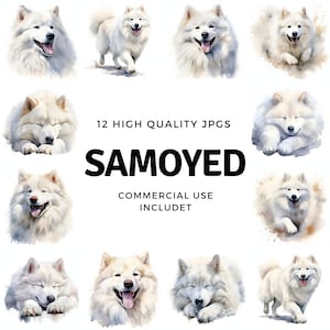 Samojeed hond clipart - 12 JPG's van hoge kwaliteit - instant Download - Card Making, uitnodigingen, tijdschriften, Scrapbooking, Junk journals