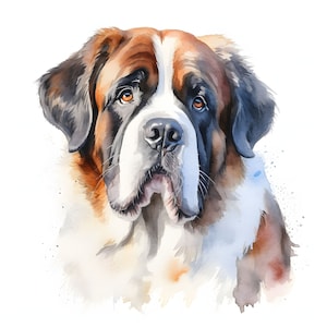 Saint Bernard clipart - 12 JPG's van hoge kwaliteit - direct downloaden - Card Making, uitnodigingen, tijdschriften, Scrapbooking, Junk journals