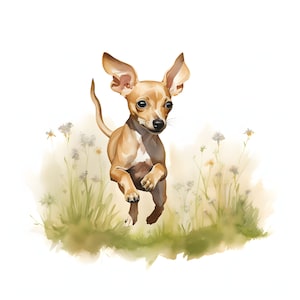 Clipart di cuccioli di levriero italiano - 12 JPG di alta qualità - Download istantaneo - Creazione di biglietti, inviti, diari, Scrapbooking, diario spazzatura
