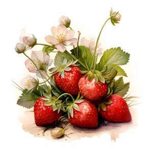 Strawberry Plants clipart - 12 High Quality JPGs - instant Download - Card Making, invitations, journals, Scrapbooking, Junk journals