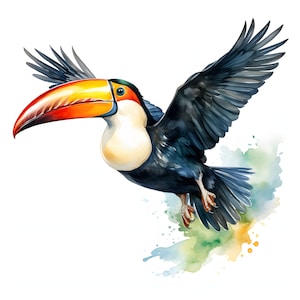 Toco Toucan clipart - 12 High Quality JPGs - instant Download - Card Making, invitations, journals, Scrapbooking, Junk journals