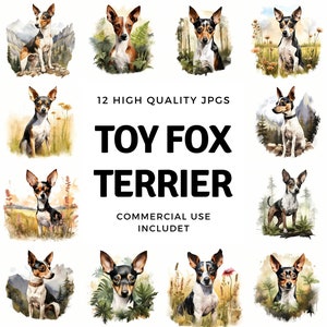 Toy Fox Terrier clipart - 12 High Quality JPGs - instant Download - Card Making, invitations, journals, Scrapbooking, Junk journals