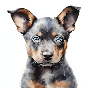 Clipart de Australian Cattle Dog - 12 JPGs de alta qualidade - download instantâneo - Criação de cartões, convites, diários, scrapbooking, diários indesejados