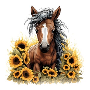 sunflower foal clipart - 12 High Quality JPGs - instant Download - Card Making, invitations, journals, Scrapbooking, Junk journals