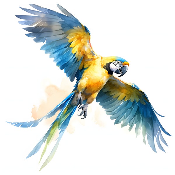 Blue-and-Yellow Macaw clipart - 12 High Quality JPGs - instant Download - Card Making, invitations, journals, Scrapbooking, Junk journals