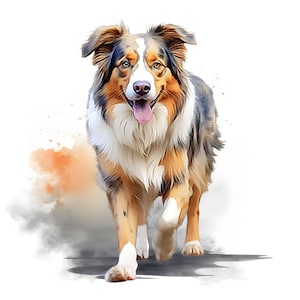 Australian Shepherd clipart - 12 hoge kwaliteit JPG's - instant Download - Card Making, uitnodigingen, tijdschriften, Scrapbooking, Junk journals