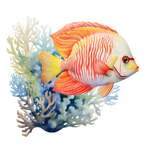 Discus Fish clipart - 12 High Quality JPGs - instant Download - Card Making, invitations, journals, Scrapbooking, Junk journals