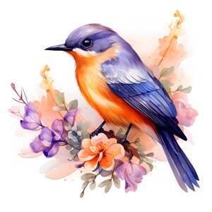 Clipart oiseaux floraux - 12 JPG de haute qualité - téléchargement instantané - fabrication de cartes, invitations, journaux, Scrapbooking, journaux indésirables