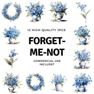 Clipart Forgett me not - 12 JPGs de alta qualidade - download instantâneo - Criação de cartões, convites, diários, scrapbooking, diários indesejados