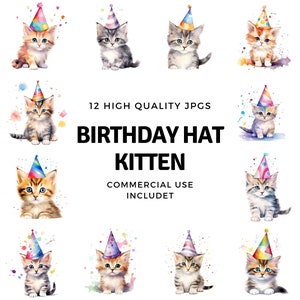 birthday hat kitten clipart - 12 High Quality JPGs - instant Download - Card Making, invitations, journals, Scrapbooking, Junk journals