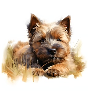 Cairn Terrier Puppies clipart - 12 hoge kwaliteit JPG's - instant Download - Card Making, uitnodigingen, tijdschriften, Scrapbooking, Junk journals