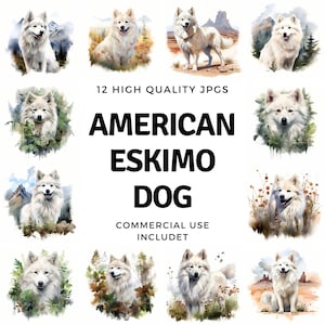 American Eskimo Dog clipart - 12 High Quality JPGs - instant Download - Card Making, invitations, journals, Scrapbooking, Junk journals