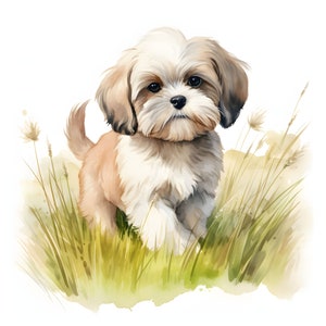 Lhasa Apso Puppy clipart - 12 JPG's van hoge kwaliteit - direct downloaden - Card Making, uitnodigingen, tijdschriften, Scrapbooking, Junk journals