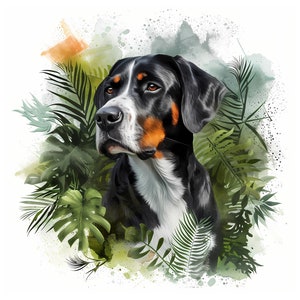 Greater Swiss Mountain Dog clipart - 12 High Quality JPGs - instant Download - Card Making, invitations, journals, Scrapbooking
