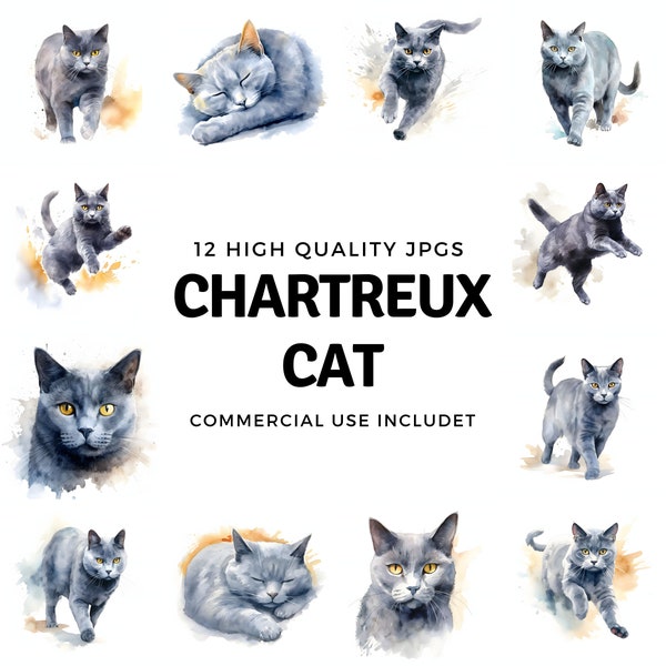 Chartreux cat clipart - 12 High Quality JPGs - instant Download - Card Making, invitations, journals, Scrapbooking, Junk journals